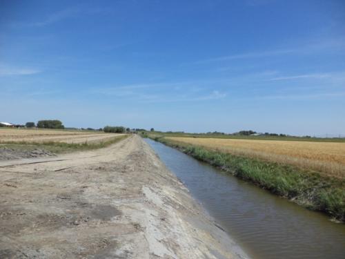 2018 Polder Valkkoog (15)