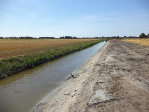 2018 Polder Valkkoog (16)